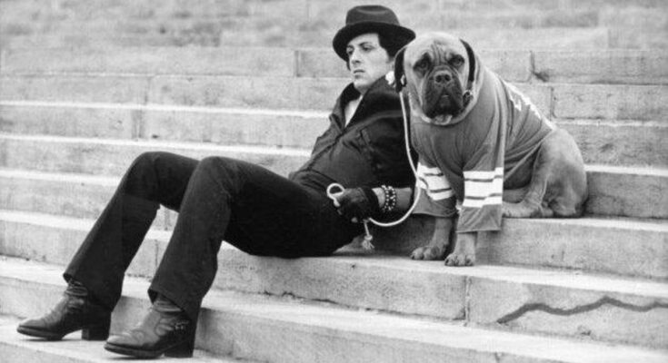 Tony Robbins Narrates Stallone's Resilient Story of "ROCKY"-Noble Thoughts